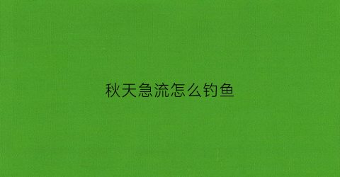 秋天急流怎么钓鱼(秋天急流怎么钓鱼好)