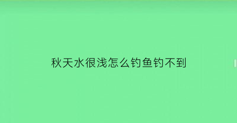 秋天水很浅怎么钓鱼钓不到(秋天水很浅怎么钓鱼钓不到呢)