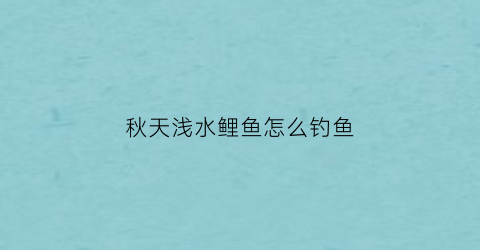 秋天浅水鲤鱼怎么钓鱼(秋天浅水鲤鱼怎么钓鱼最好)