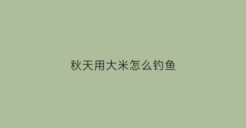 秋天用大米怎么钓鱼(用大米钓鱼应该注意什么)