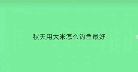 秋天用大米怎么钓鱼最好