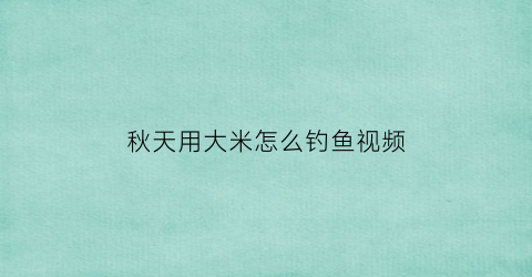 秋天用大米怎么钓鱼视频