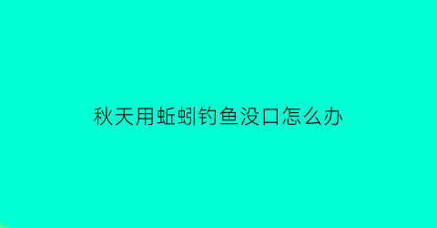 秋天用蚯蚓钓鱼没口怎么办