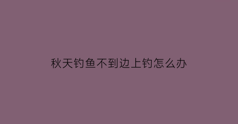 “秋天钓鱼不到边上钓怎么办(秋季钓鱼钓不到鱼怎么回事)