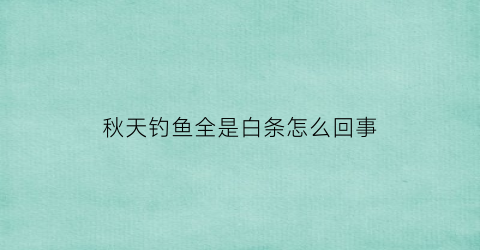 “秋天钓鱼全是白条怎么回事(深秋钓白条)