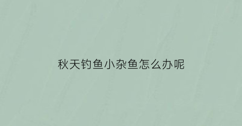 “秋天钓鱼小杂鱼怎么办呢(秋季野钓如何避开小杂鱼)