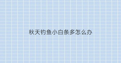 秋天钓鱼小白条多怎么办(深秋钓白条)