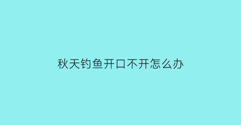 秋天钓鱼开口不开怎么办