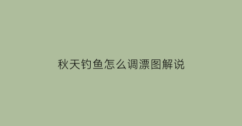 秋天钓鱼怎么调漂图解说(秋天钓鱼浮漂怎么调)