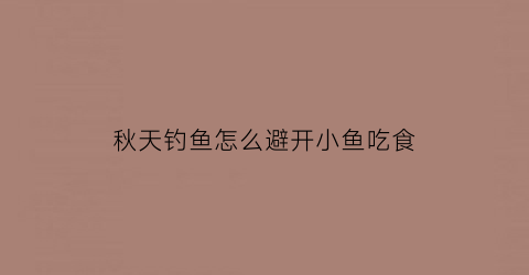 秋天钓鱼怎么避开小鱼吃食(秋季钓鲫鱼怎么避开小鱼)