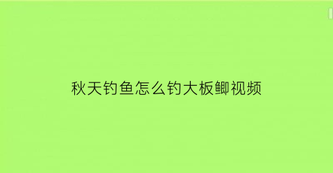 秋天钓鱼怎么钓大板鲫视频(秋天钓鱼怎么钓大板鲫视频教学)