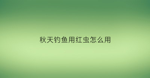 秋天钓鱼用红虫怎么用(秋天钓鱼用红虫怎么用视频)