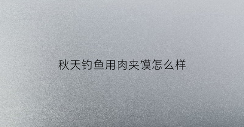 秋天钓鱼用肉夹馍怎么样(春天用肉夹馍钓鱼)