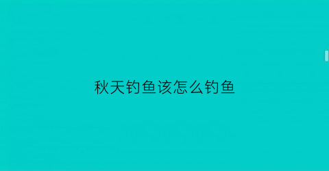 秋天钓鱼该怎么钓鱼(秋天钓鱼应该怎么钓)