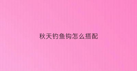 秋天钓鱼钩怎么搭配(秋天钓鱼钩怎么搭配最好)