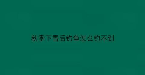 秋季下雪后钓鱼怎么钓不到(下雪后能钓到鱼吗)