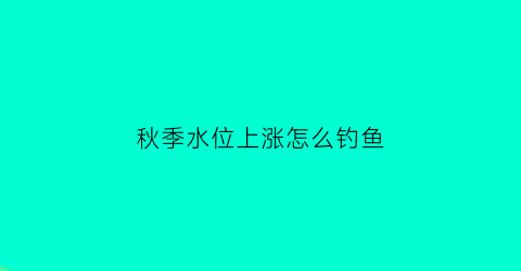 秋季水位上涨怎么钓鱼(秋季水位上涨怎么钓鱼最好)