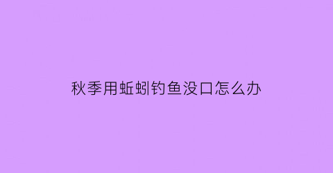 秋季用蚯蚓钓鱼没口怎么办