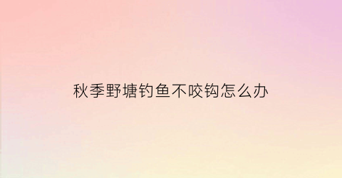 秋季野塘钓鱼不咬钩怎么办(秋季野塘钓鱼技巧)