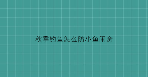 秋季钓鱼怎么防小鱼闹窝