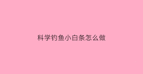 “科学钓鱼小白条怎么做(钓小白条教学视频)