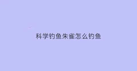 科学钓鱼朱雀怎么钓鱼