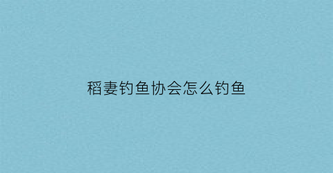 稻妻钓鱼协会怎么钓鱼(稻妻钓鱼协会没有)