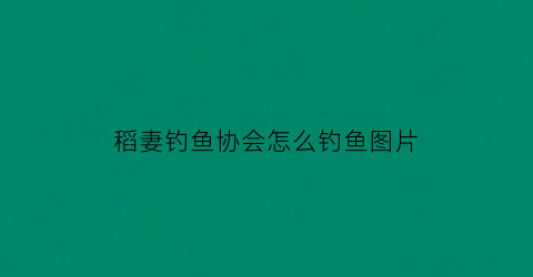 稻妻钓鱼协会怎么钓鱼图片
