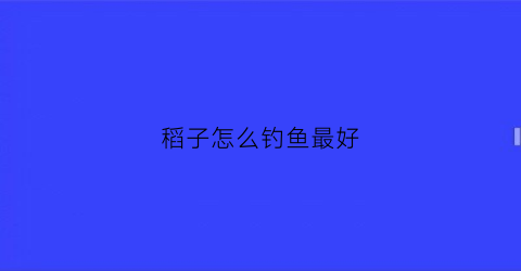 稻子怎么钓鱼最好(稻谷怎么做钓鱼窝料好)