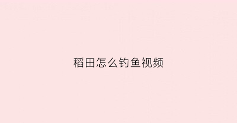 稻田怎么钓鱼视频(稻田怎么钓鱼视频讲解)