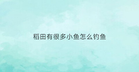 “稻田有很多小鱼怎么钓鱼(稻田里面的鱼叫什么鱼)