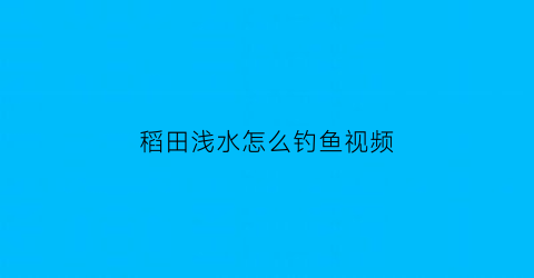 稻田浅水怎么钓鱼视频(稻田浅水怎么钓鱼视频讲解)