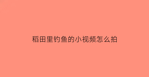 “稻田里钓鱼的小视频怎么拍(稻田里钓鱼的小视频怎么拍好看)