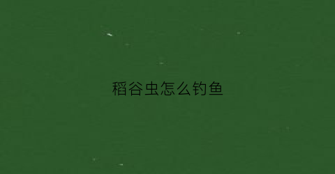 “稻谷虫怎么钓鱼(稻谷虫有毒吗)