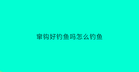 窜钩好钓鱼吗怎么钓鱼(窜钩好钓鱼吗怎么钓鱼视频)