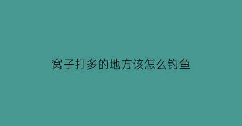 窝子打多的地方该怎么钓鱼(打窝太多)