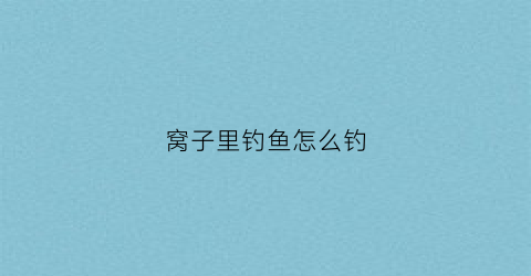 窝子里钓鱼怎么钓(窝子里钓鱼怎么钓好)