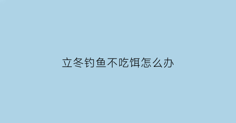 “立冬钓鱼不吃饵怎么办(立冬钓鱼不吃饵怎么办呀)