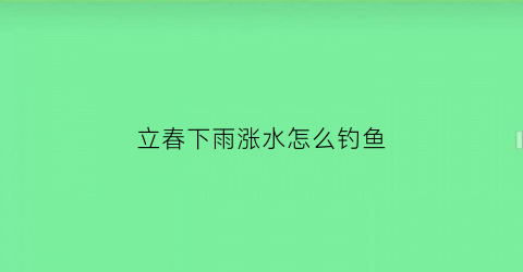 立春下雨涨水怎么钓鱼(立春雨天如何野钓鲫鱼)