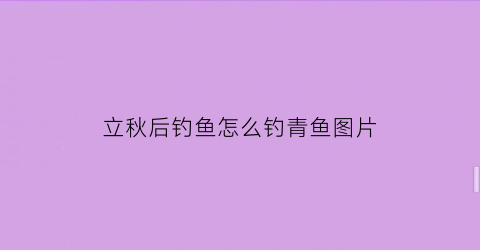 立秋后钓鱼怎么钓青鱼图片(立秋后钓鱼钓深水还是浅水)