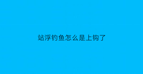 站浮钓鱼怎么是上钩了(站浮怎么看上不上鱼)