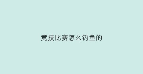 “竞技比赛怎么钓鱼的(竞技钓比赛规则)