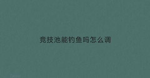 竞技池能钓鱼吗怎么调(竞技池钓位多少米一个位置)