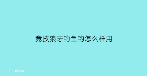 竞技狼牙钓鱼钩怎么样用(竞技狼牙鱼钩可以钓鲫鱼吗)