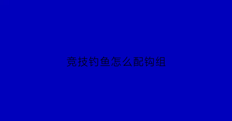竞技钓鱼怎么配钩组(竞技钓鱼用什么鱼钩)