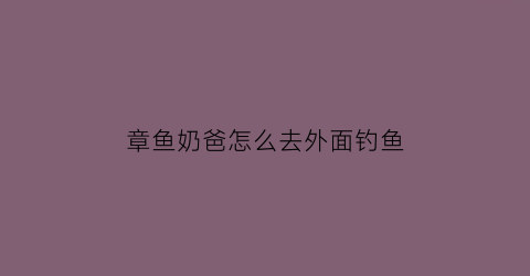 章鱼奶爸怎么去外面钓鱼(章鱼奶爸怎么结账)