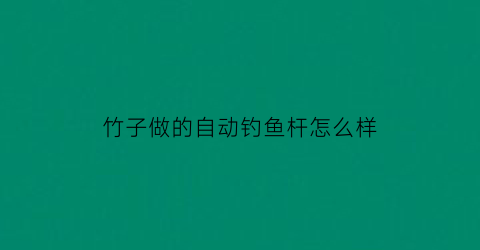 竹子做的自动钓鱼杆怎么样