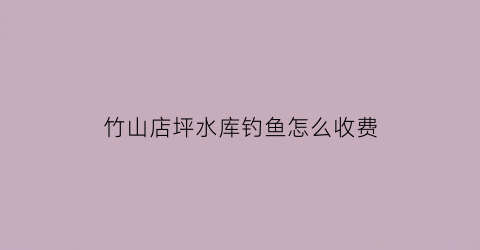 竹山店坪水库钓鱼怎么收费(竹山县水库)