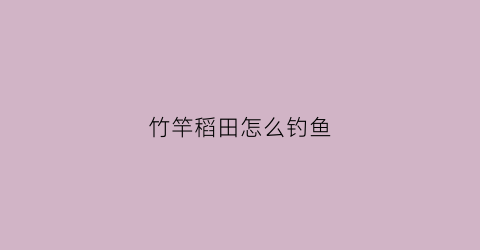竹竿稻田怎么钓鱼(竹竿稻田怎么钓鱼最好)