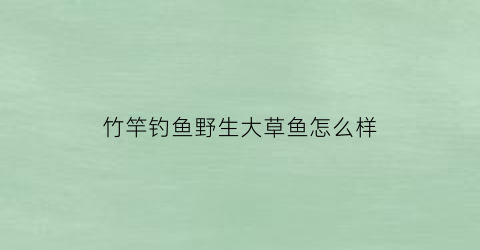 竹竿钓鱼野生大草鱼怎么样(竹竿钓鱼野生大草鱼怎么样钓)